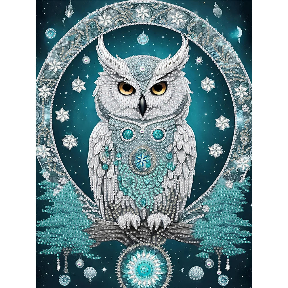 30*40cm Elegant Luxury Woman 5D DIY Partial Special Shaped Drill Diamond Painting Kit Rhinestone Diamond Painting Home Decor